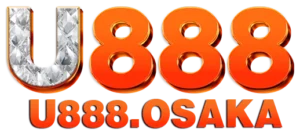 diariovallenar.cl logo